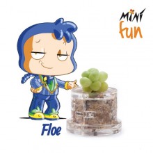 Mini Fun Floe – Mini-plantă pentru cei rafinați și eleganți