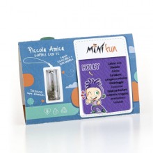 Mini Fun Holly – Mini-plantă pentru aventurieri și ambițioși