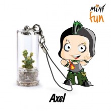 Mini Fun Axel – Mini-plantă pentru cei determinați