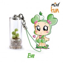 Mini Fun Eve – Mini plantă pentru cei dulci și delicați