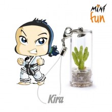 Mini Fun Kira – Mini-plantă pentru curajoși și tenaci