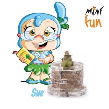 Mini Fun Sue – Mini-plantă pentru cei înțelepți